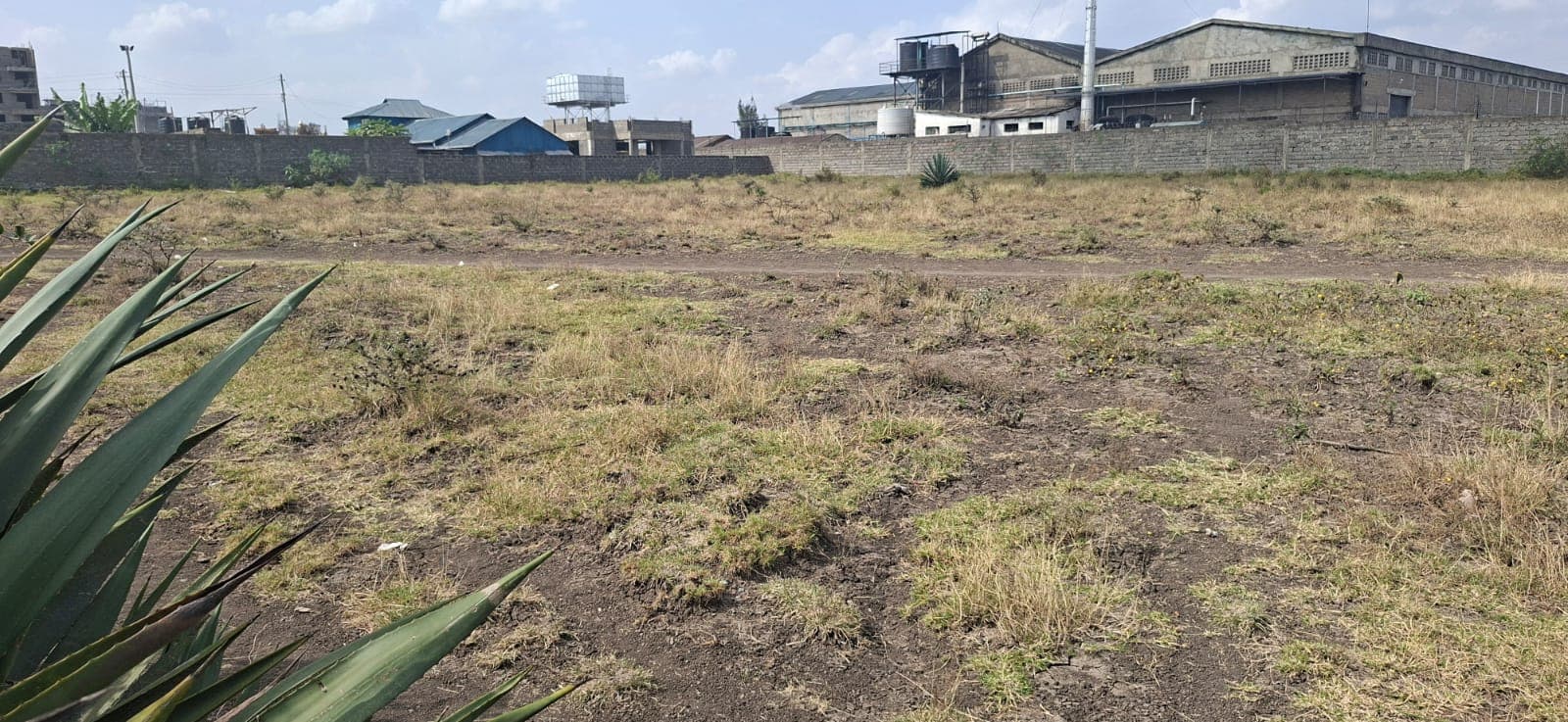 Plot for Sale - Quarter Acre