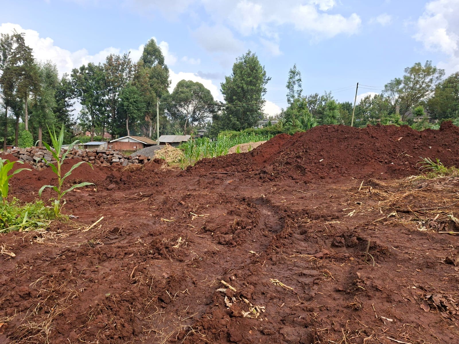 One and Eighth Acre Plot