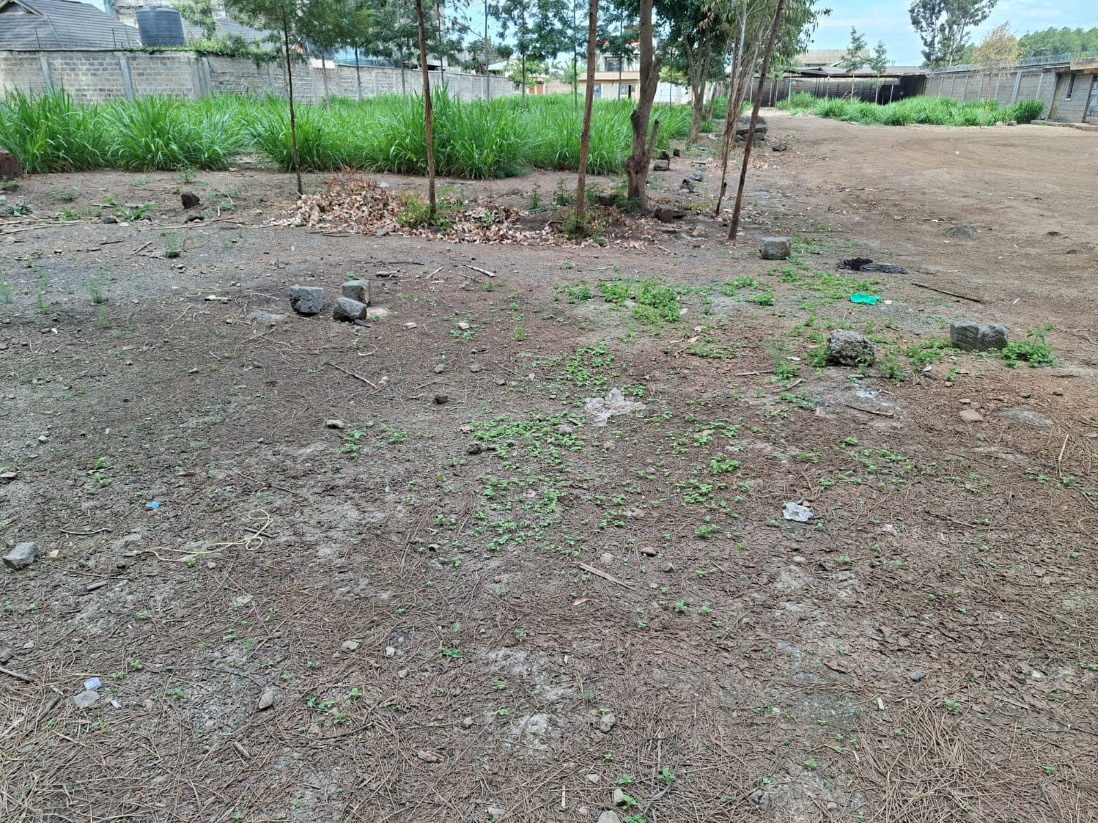 Quarter Acre Plot - Kerarapon